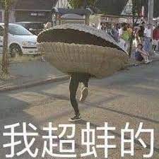 爆哭！！被野鸡平台黑了14万后，我终于幡然醒悟！