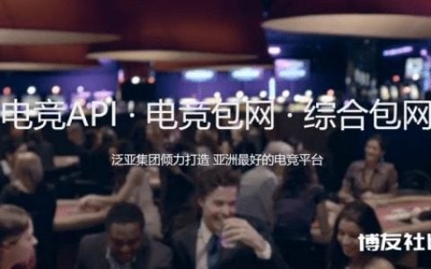 泛亚电竞，API、电竞、综合包网！