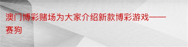 澳门博彩赌场为大家介绍新款博彩游戏——赛狗