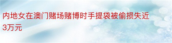 内地女在澳门赌场赌博时手提袋被偷损失近3万元