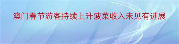 澳门春节游客持续上升菠菜收入未见有进展