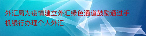 外汇局为疫情建立外汇绿色通道鼓励通过手机银行办理个人外汇